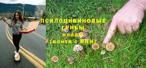 mix Бородино