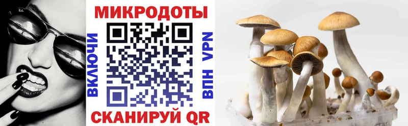 площадка телеграм где купить Миньяр Псилоцибиновые грибы MAGIC MUSHROOMS
